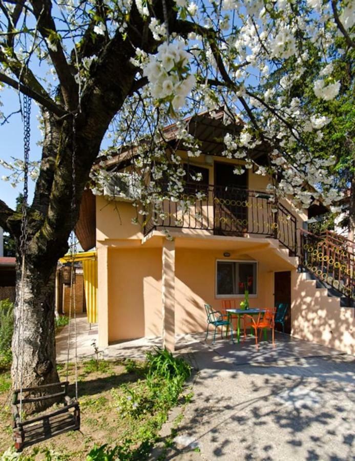 Cherry Tree Art House Belgrado Exterior foto
